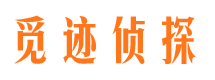 河北外遇调查取证